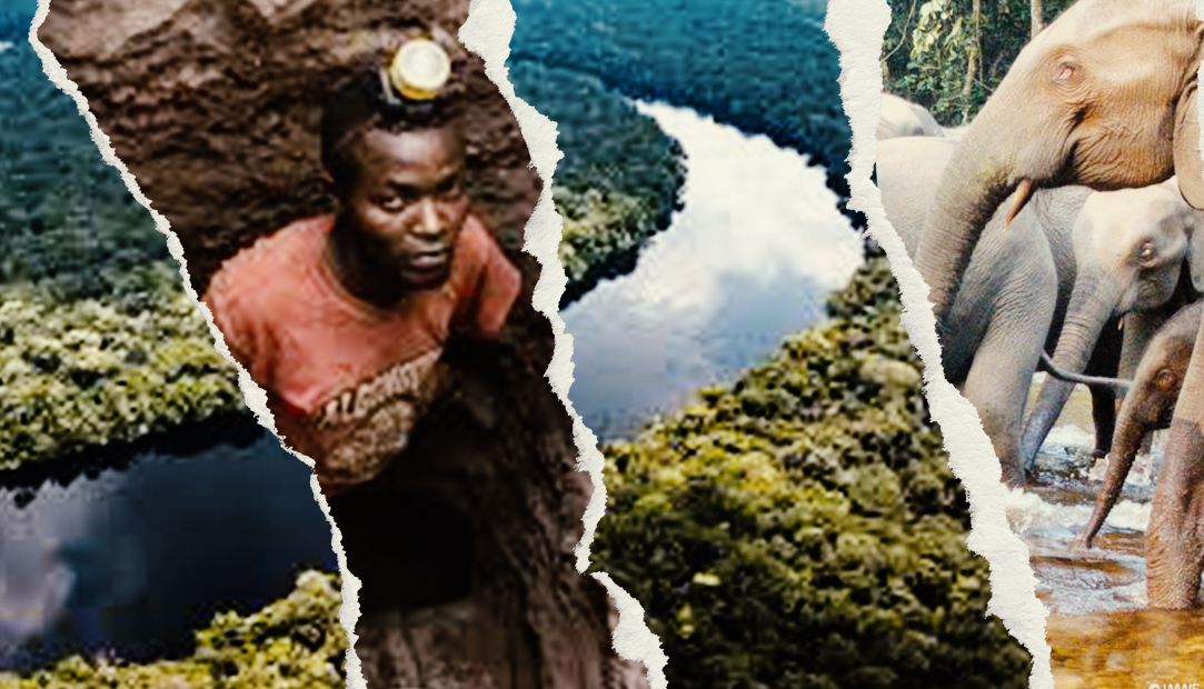 RDC : protéger notre capital naturel pour bâtir l’émergence