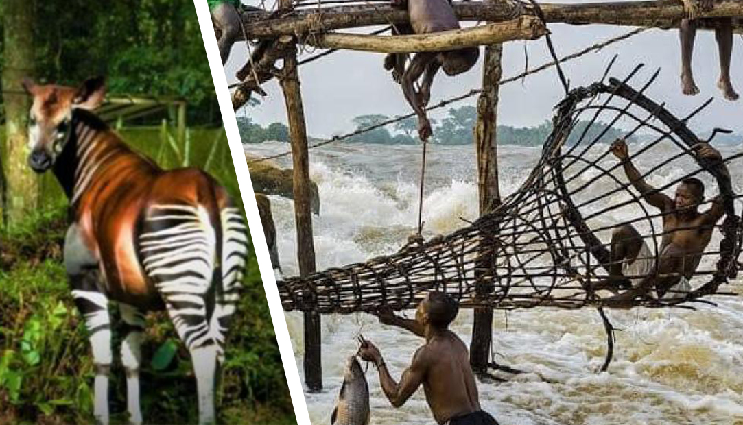 Notre vision de la politique touristique de la RDC à l’horizon 2060