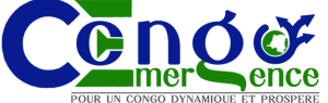 page a4 congo emergence new final final 2 copie logo